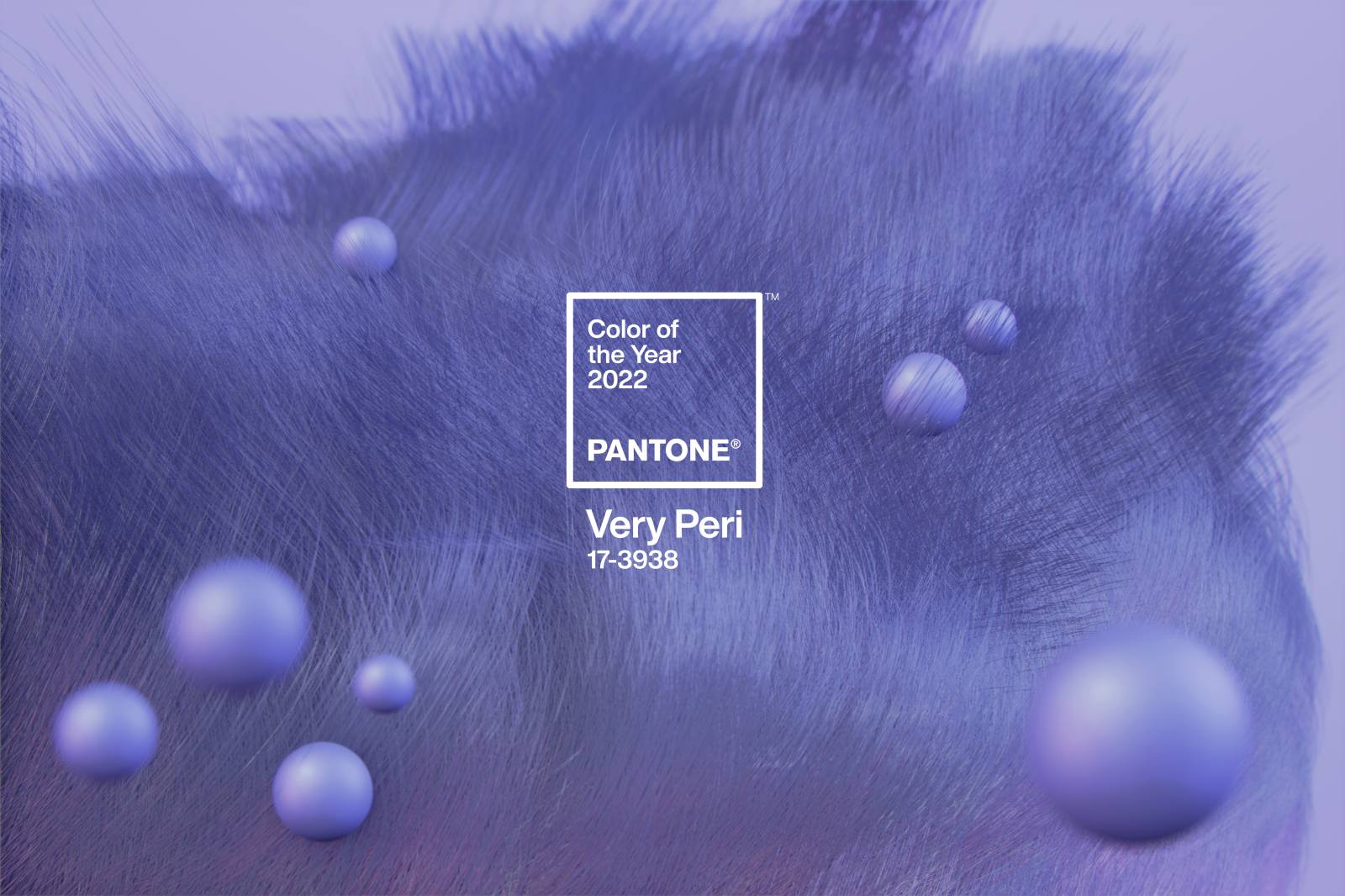 mau pantone 2022 mau sac