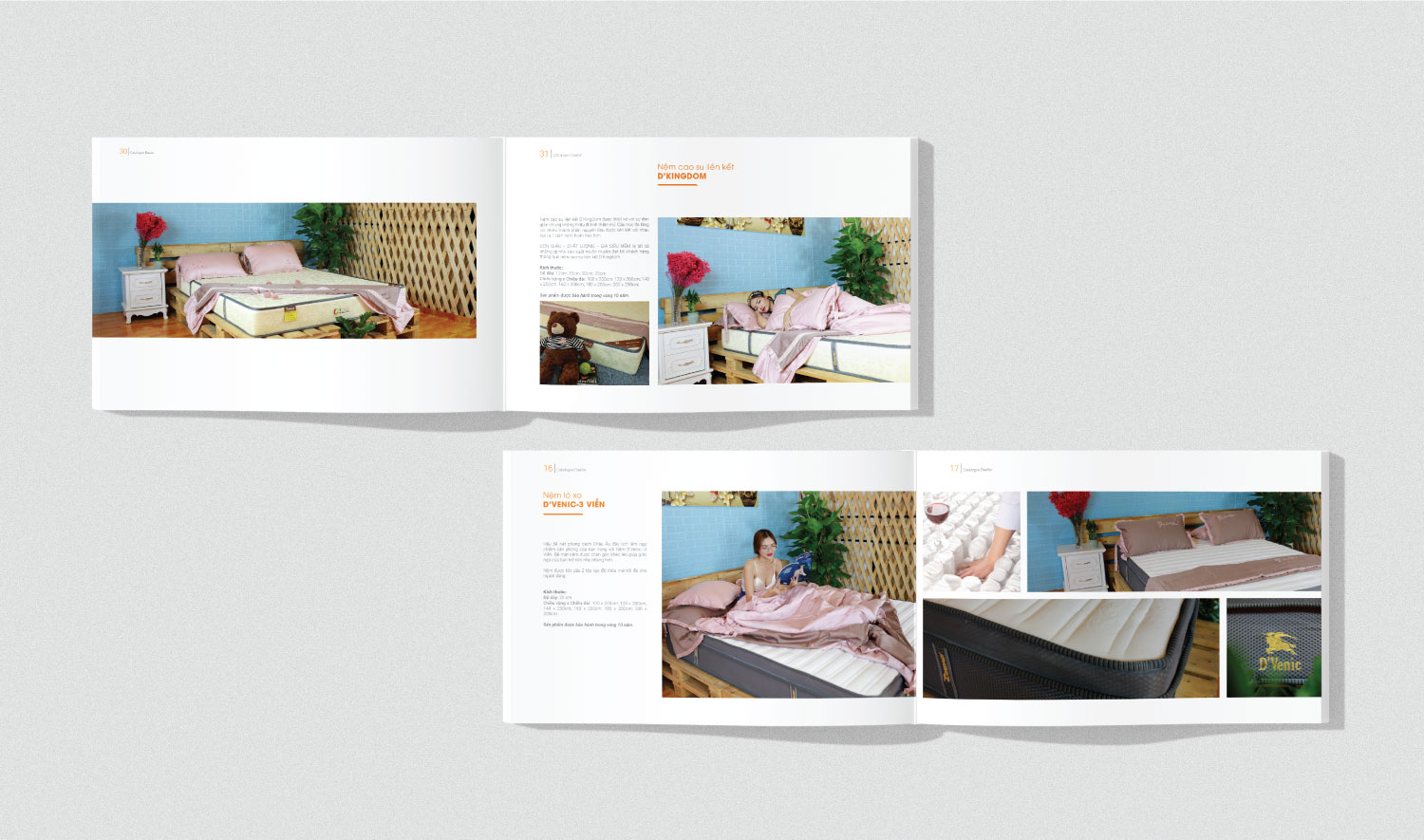 Dự án thiết kế catalogue Daafar 5