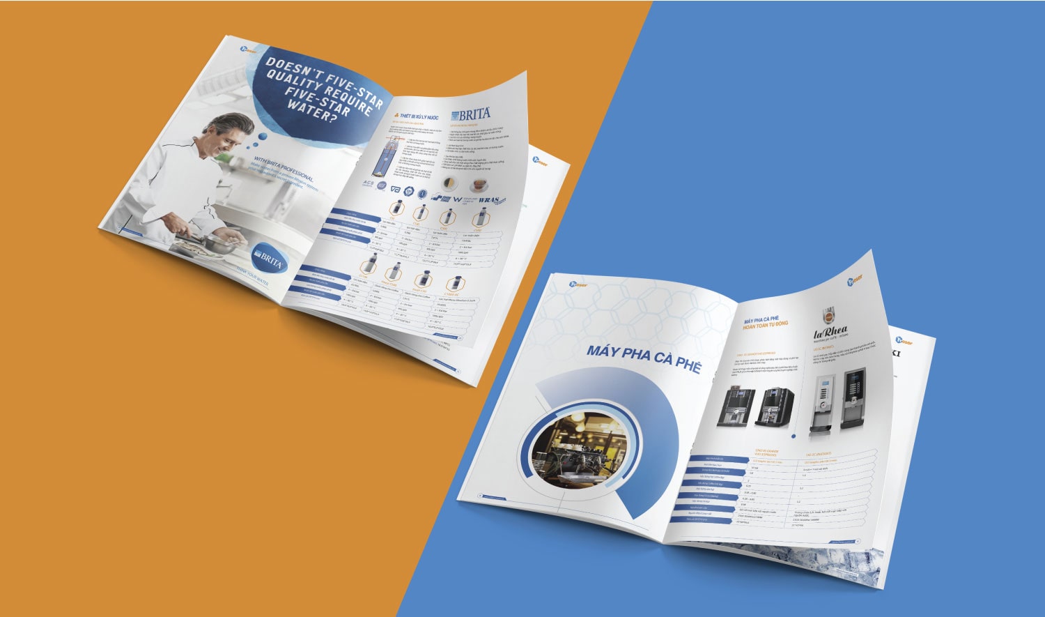 Dự án thiết kế catalogue Freser