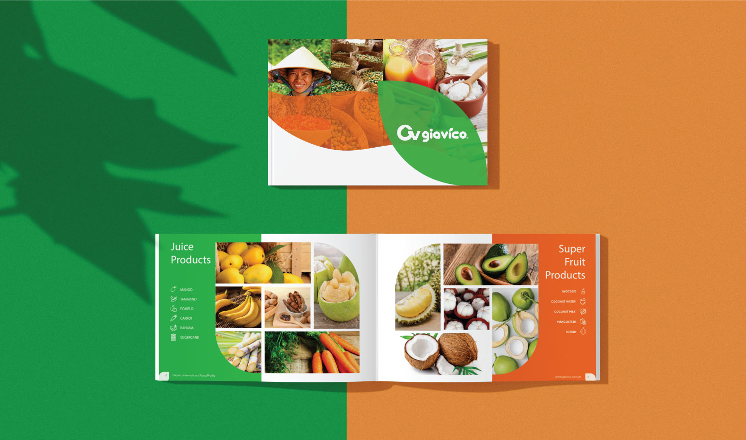Thiết kế hồ sơ năng lực Giavico